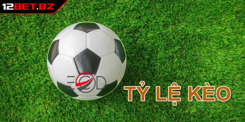 Cá Cược Tỷ Số 12bet Tìm Hiểu Chi Tiết Về Tỷ Lệ Cược Phổ Biến 3 Theo dõi biến động tỷ lệ cược