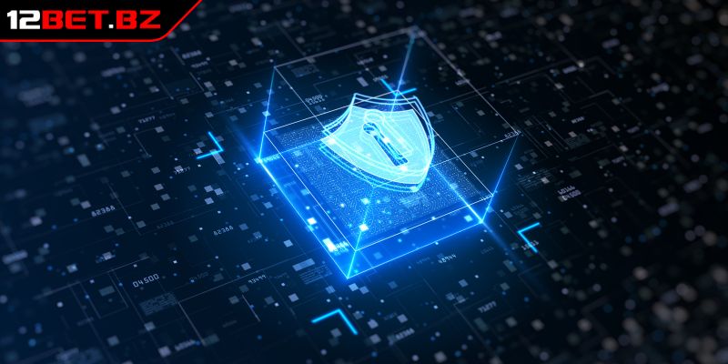 Chính Sách Bảo Mật 12bet Và Cách Thu Thập Lưu Trữ Thông Tin 2 Thu thập lưu trữ thông tin